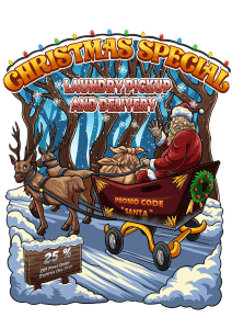 laundry pickup and delivery service christmas special